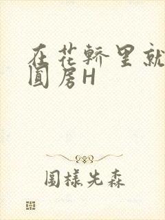 在花轿里就开始圆房H