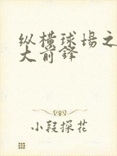 纵横球场之暴力大前锋