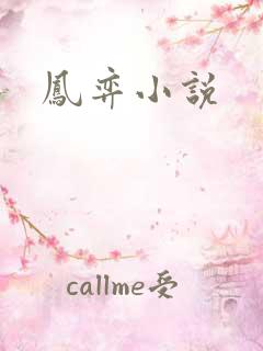 凤弈小说