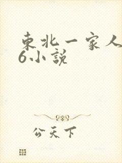 东北一家人1一6小说