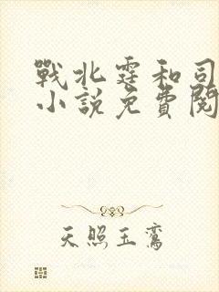 战北霆和司情的小说免费阅读