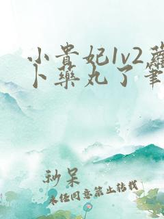 小贵妃1v2萝卜药丸了笔趣阁