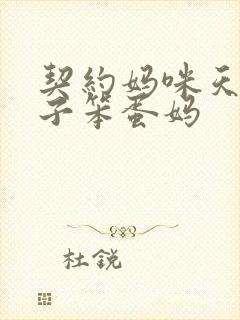 契约妈咪天才儿子笨蛋妈