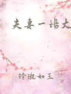 夫妻一场大结局