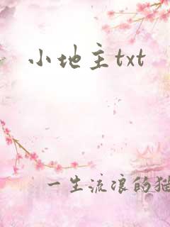 小地主txt