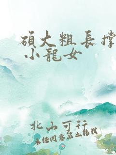 硕大粗长撑裂了 小龙女