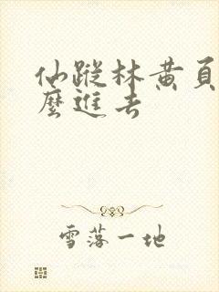 仙踪林黄页网怎么进去