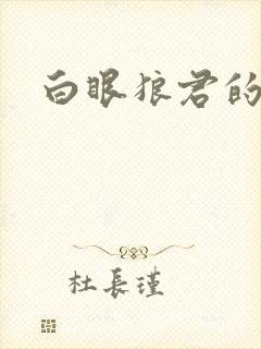 白眼狼君的小说
