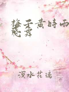 梅子黄时雨流光飞舞