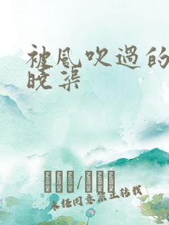 被风吹过的夏天晓渠