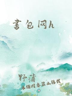书包网h