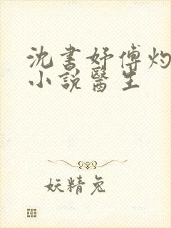 沈书妤傅灼抖音小说医生