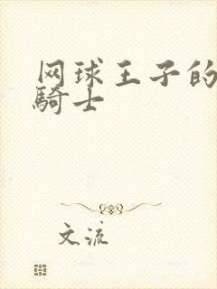 网球王子的公主骑士
