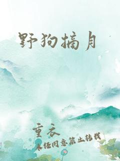 野狗摘月
