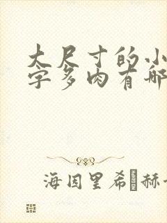 大尺寸的小黄说字多肉有哪些