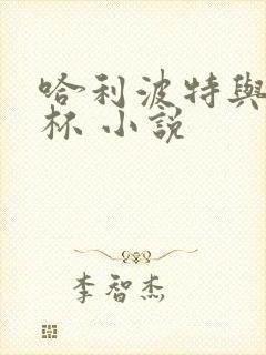 哈利波特与火焰杯 小说