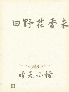 田野花香未删节