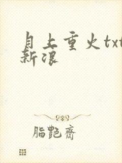 月上重火txt新浪