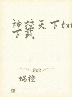 神控天下txt下载