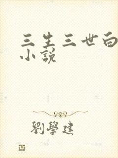 三生三世白暮泪小说