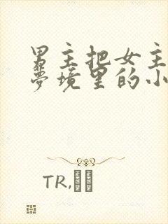 男主把女主拖进梦境里的小说