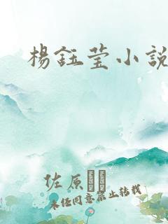 杨钰莹小说阅读