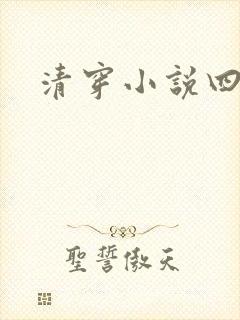 清穿小说四四