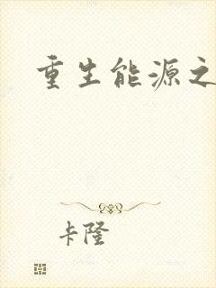 重生能源之王