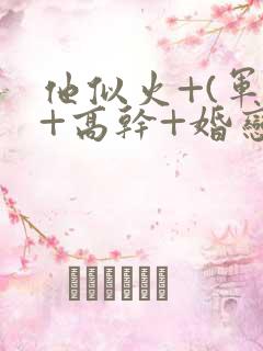 他似火+(军婚+高干+婚恋)