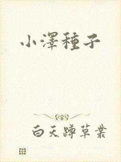 小泽种子