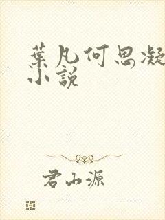 叶凡何思凝七月小说