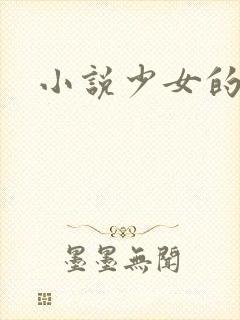 小说少女的心