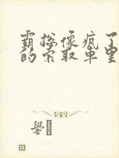 霸总像疯了一样的索取车里
