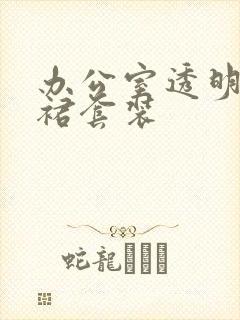 办公室透明半身裙套装