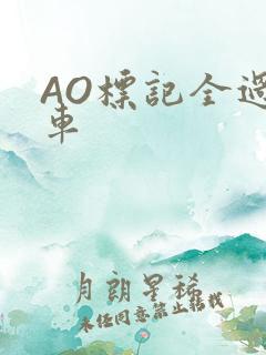 AO标记全过程车