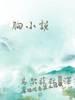 胸小说