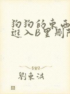 狗狗的东西直接进入B里删除