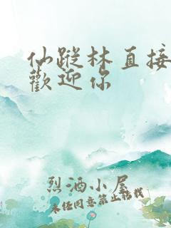 仙踪林直接入口欢迎你