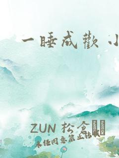 一睡成欢 小说