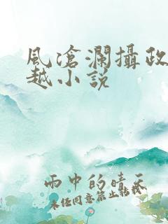 风沧澜摄政王穿越小说
