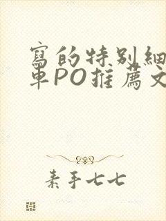 写的特别细的开车PO推荐文