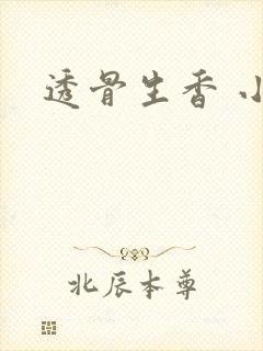 透骨生香 小说