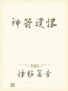 神箭遗恨