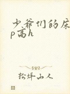 少爷们的床奴np高h