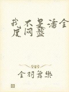 我不是潘金莲百度网盘