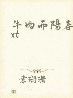 牛肉面阳春面txt