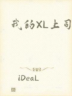 我的XL上司
