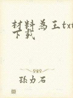 材料为王txt下载