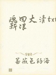 魂回大清txt新浪