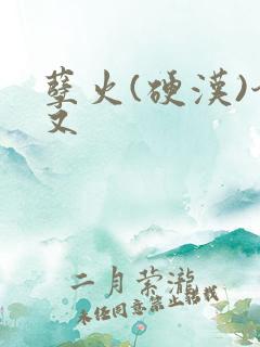 孽火(硬汉)今又